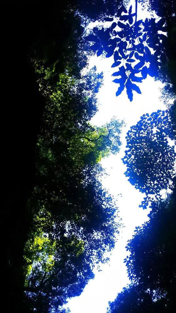 【郭】姓宝宝起名的时候需要注意些什么