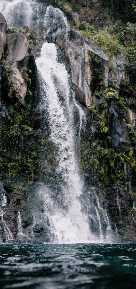 逃离潮湿的房屋