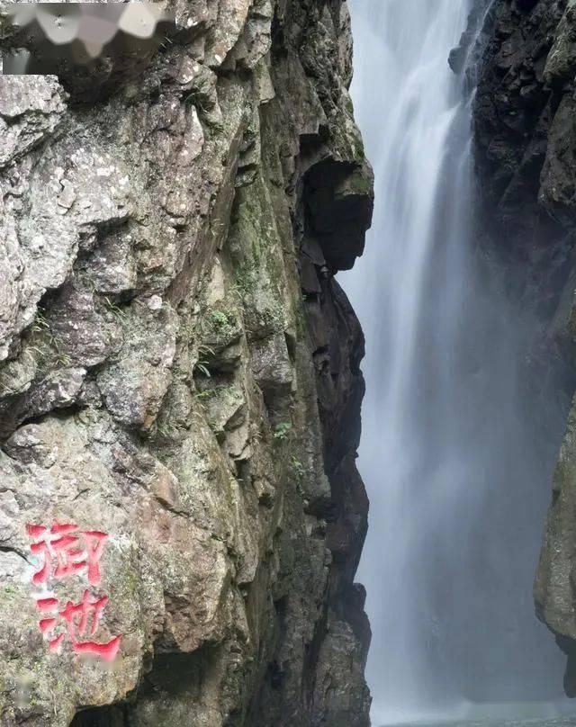 省两会进行时丨长沙市代表团审议政府工作报告 吴桂英王一鸥周海兵等参加