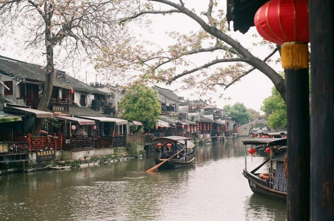 奥日与精灵意志